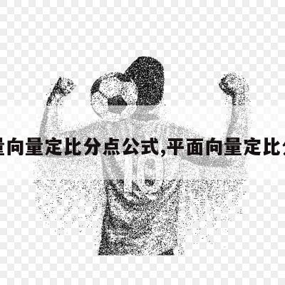 向量向量定比分点公式,平面向量定比分点