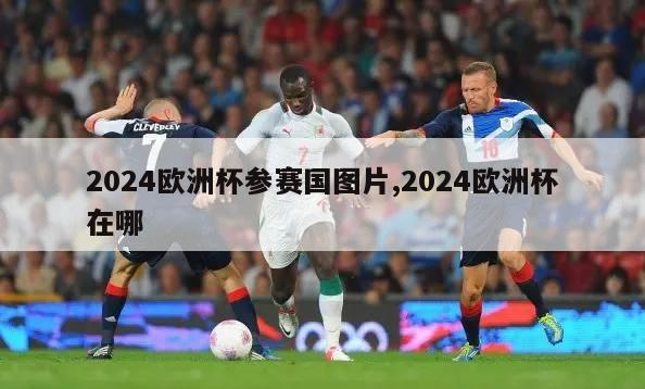 2024欧洲杯参赛国图片,2024欧洲杯在哪