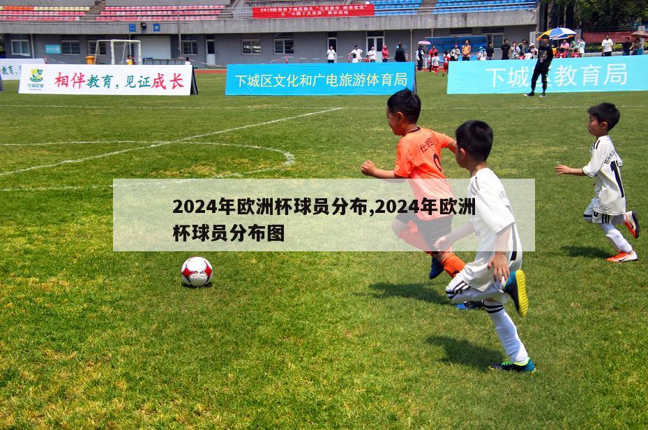 2024年欧洲杯球员分布,2024年欧洲杯球员分布图