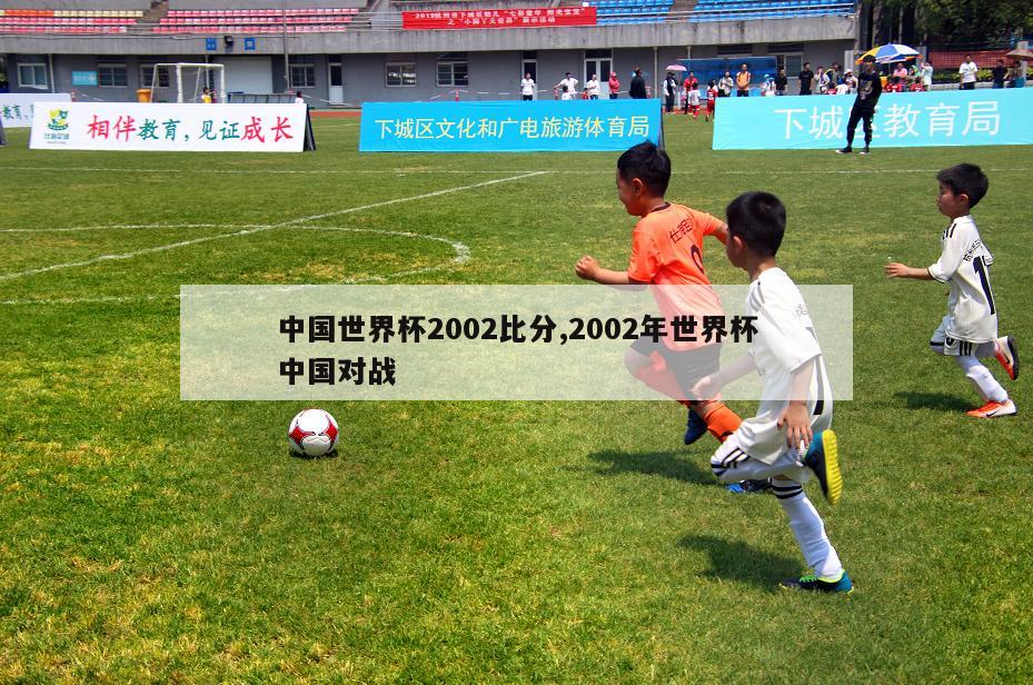 中国世界杯2002比分,2002年世界杯中国对战